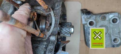 IMG_20230914_175458
